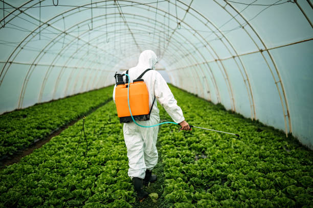 Best Local Pest Control Services  in Coldwater, OH