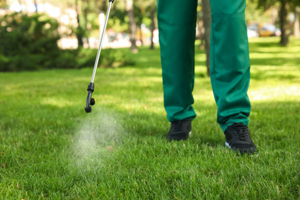 Best Affordable Pest Control Services  in Coldwater, OH