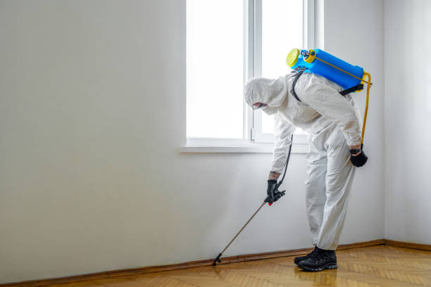 Best Flea Control Services  in Coldwater, OH