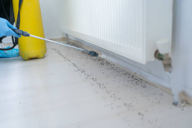 Best Best Pest Control Companies  in Coldwater, OH