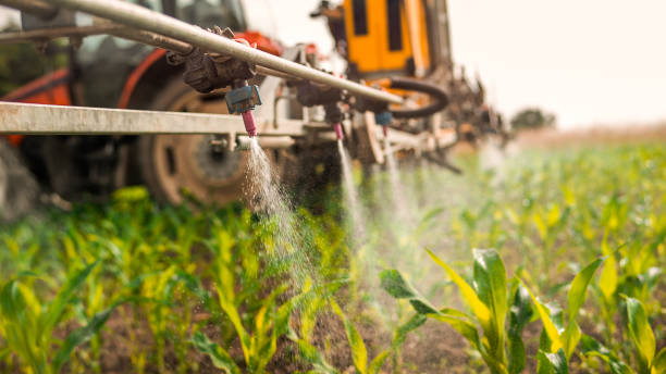 Best Ant Control Services  in Coldwater, OH